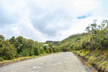 Purace, Cauca, Kolombiya 'da yemyeşil çimlerle çevrili dolambaçlı bir toprak yol doğa severler ve macera arayanlar için idealdir..