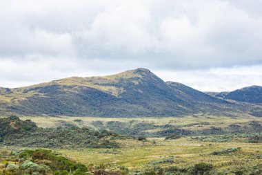 Purac Ulusal Parkı 'nın yuvarlanan tepeleri ve yemyeşil alanları, Kolombiya' nın Cauca kentindeki doğanın özünü yansıtıyor..