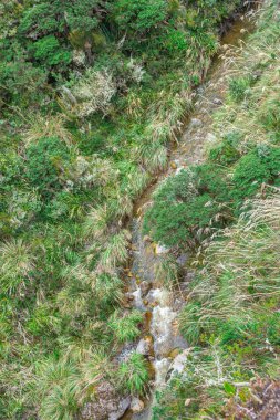 Purace, Cauca, Kolombiya 'daki yemyeşil bitki örtüsüyle çevrili doğal bir dere manzarası. Doğa ve manzara fotoğrafçılığı için mükemmel..