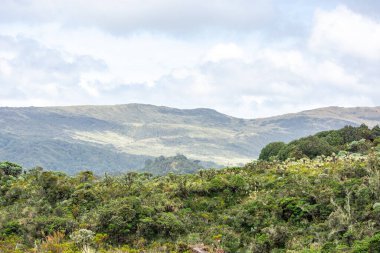 Yemyeşil tepelerin ve Purace, Popayn, Cauca, Kolombiya 'daki çeşitli bitkilerin güzel panoramik manzarası doğanın dinginliğini gözler önüne seriyor..