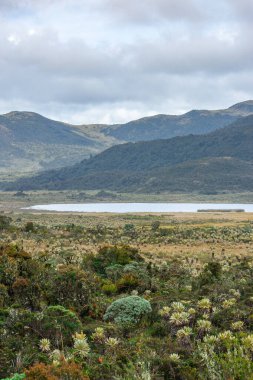 Purace, Cauca, Kolombiya 'daki kırılgan manzara, arka planda bereketli doğa ve dingin bir göl.