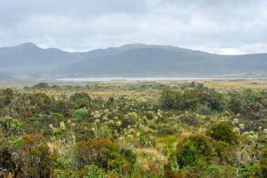 Purace, Cauca, Kolombiya 'nın büyüleyici manzarası. Dağlar, tarlalar ve bulutlu gökyüzünün altında sakin bir göl..