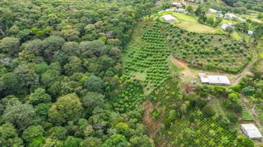 Popayn, Cauca, Kolombiya 'daki yemyeşil ve tarımsal desenleri gösteren çarpıcı hava manzarası doğanın güzelliğini vurguluyor..