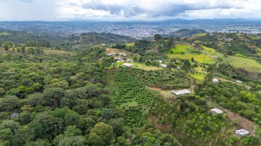 Sersemletici hava manzarası Popayn, Cauca, Kolombiya 'yı çevreleyen yemyeşil ve tarımsal alanları gösteriyor..