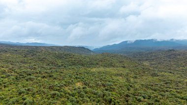 Purace, Cauca, Kolombiya 'daki yoğun, yeşil manzaralar bulutlu bir gökyüzü altında doğanın güzelliğini gözler önüne seriyor..