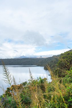 Bereketli yeşillikler ve dağ tepeleriyle çevrili Buey Lagoon 'un çarpıcı manzarası, Kolombiya, Cauca' daki doğanın dingin güzelliğini yakalıyor..