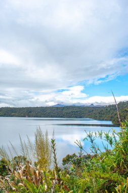 Laguna del Buey 'in sakin manzarası Purace, Cauca, Kolombiya' da yemyeşil ile çevrili, doğanın güzelliğini gösteriyor..
