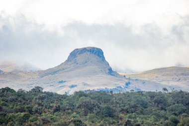 Kolombiya, Cauca 'daki Purace Dağı' nın yemyeşil doğa ve sisli bulutlarla çevrili nefes kesici manzarası eşsiz jeolojik özelliklerini vurguluyor..