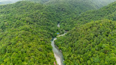 Aguaclara, Valle del Cauca, Kolombiya 'daki yemyeşil vadilerin çarpıcı hava manzarası doğanın ve yoğun ormanların güzelliğini gözler önüne seriyor..