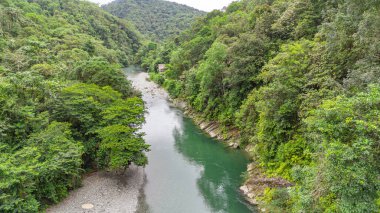 Agua Clara, Valle del Cauca, Kolombiya 'da yemyeşil bir nehir manzarası. Doğa fotoğrafçılığı için mükemmel..