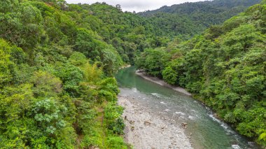 Agua Clara, Valle del Cauca, Kolombiya 'daki yemyeşil arazi boyunca akan güzel bir nehir..