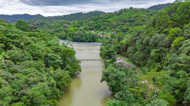 Agua Clara, Valle del Cauca, Kolombiya 'da yemyeşil bir nehir manzarası doğanın güzelliğini ve sükunetini gözler önüne seriyor..