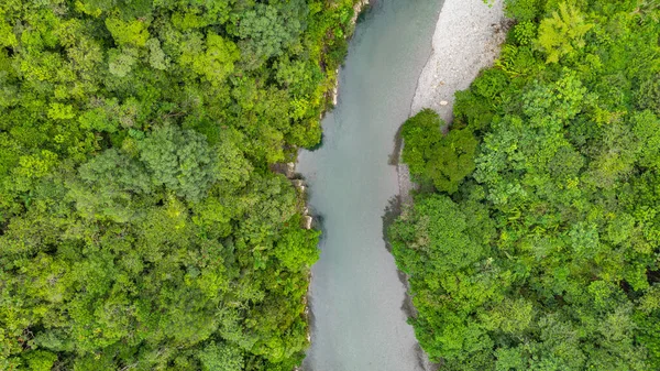 Agua Clara, Valle del Cauca, Kolombiya 'daki yoğun yeşil bir ormandan akan sakin bir nehrin nefes kesici görüntüsü..