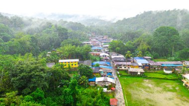 San Cipriano 'nun Buenaventura, Valle del Cauca, Kolombiya' daki manzarası yemyeşil ve canlı evleri gözler önüne seriyor..