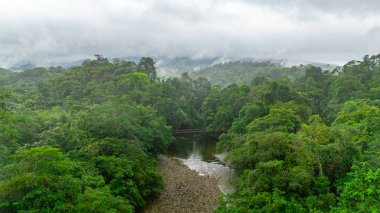 Yoğun yeşillik manzarası ve San Cipriano, Buenaventura, Valle del Cauca 'da bir nehir Kolombiya' nın canlı doğasını gözler önüne seriyor..