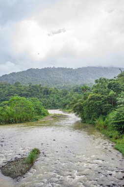 San Cipriano, Valle del Cauca, Kolombiya 'da yemyeşil bir nehir manzarası.