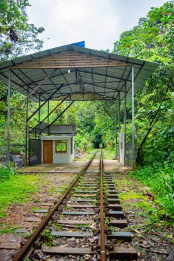 San Cipriano, Buenaventura, Valle del Cauca, Kolombiya 'da canlı yeşillik içinde bir tren istasyonunun manzarası..