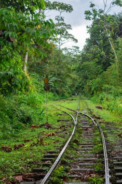 A scenic view of an abandoned railway track surrounded by vibrant green foliage in San Cipriano, Buenaventura, Valle del Cauca, Colombia.