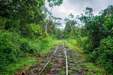 San Cipriano, Buenaventura, Valle del Cauca, Kolombiya 'da canlı yeşilliklerle çevrili terk edilmiş bir tren yolu..