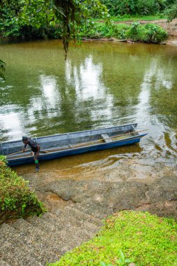 San Cipriano, Buenaventura Valle del Cauca, Kolombiya - 30 Kasım 2025 - Bir balıkçı yemyeşil ve sakin sularla çevrili kanosunu nehirden çeker.