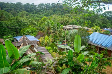 San Cipriano, Buenaventura, Valle del Cauca, Kolombiya 'nın verimli yeşillik ve çatılarının manzarası doğanın güzelliğini gözler önüne seriyor..