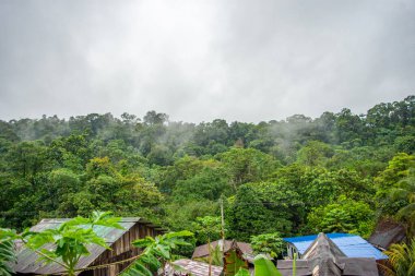 San Cipriano, Buenaventura, Valle del Cauca, Kolombiya 'daki yemyeşil tepelerin ve çatıların manzarası bulutlu bir gökyüzünün altında..