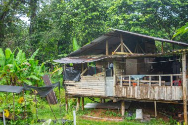 San Cipriano, Buenaventura, Valle del Cauca, Kolombiya 'da yemyeşil bir ev..