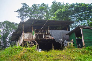 San Cipriano, Buenaventura, Valle del Cauca, Kolombiya 'da yemyeşil bir ev. Mimari, yerel kültür ve doğayı yansıtıyor..