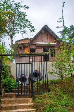 San Cipriano, Buenaventura, Valle del Cauca, Kolombiya 'da yemyeşil bir ev..