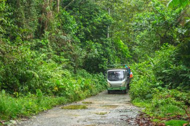 San Cipriano, Buenaventura, Valle del Cauca, Kolombiya 'da yemyeşil alanlarla çevrili sakin bir yol..
