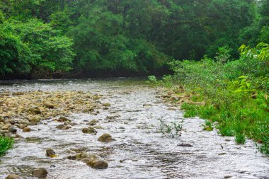 San Cipriano, Valle del Cauca, Kolombiya 'da yemyeşil bir nehir manzarası. Doğa meraklıları ve doğa fotoğrafçılığı için mükemmel..