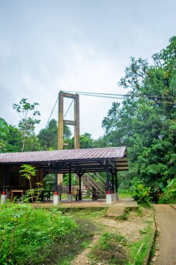 San Cipriano, Buenaventura, Valle del Cauca, Kolombiya 'da yemyeşil bir kulübe ve köprü manzarası..