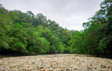 San Cipriano, Buenaventura Valle del Cauca, Kolombiya 'da yemyeşil ve kayalık nehir yatağından oluşan sakin bir nehir manzarası..