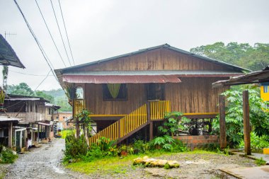 San Cipriano 'da, Buenaventura' da, Valle del Cauca 'da yemyeşil merdiveni olan ahşap bir ev..