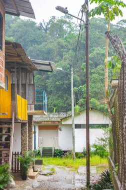 San Cipriano, Buenaventura, Valle del Cauca 'da yemyeşil bir arazinin manzarası..