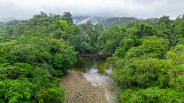 San Cipriano, Buenaventura, Valle del Cauca, Kolombiya 'daki yoğun yeşilliklerden akan tropikal bir nehrin nefes kesici manzarası..