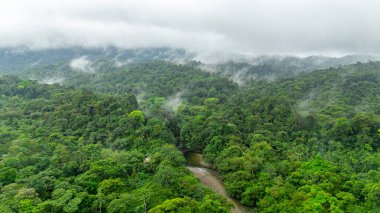 San Cipriano, Buenaventura, Valle del Cauca 'daki canlı yağmur ormanları ve nehir manzarası Kolombiya doğasının güzelliğini gözler önüne seriyor..
