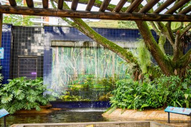 Zoolgico de Cali, Cali, Valle del Cauca, Kolombiya - 23 Kasım 2026 - Berrak yeşillik ve canlı yaban hayatı sanat eserleriyle çevrili sakin bir şelale sahnesi.