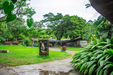 Zoolgico de Cali, Cali, Valle del Cauca, Kolombiya - 23 Kasım 2026 - gür yeşillik ve egzotik kuşların yer aldığı canlı bir giriş alanı.