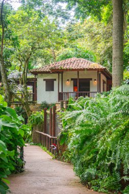 Cali Hayvanat Bahçesi, Kolombiya 'da verimli yeşilliklerle çevrili büyüleyici bir yapıya giden manzaralı bir yol..