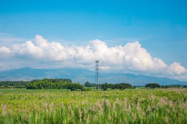 Kolombiya, Valle del Cauca 'da manzaralı yeşil alanlar, dağlar ve bulutlu mavi bir gökyüzü..