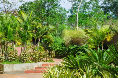 Ukumar Parkı, Pereira, Risaralda 'daki tropik bitki ve yeşillik manzarası Kolombiya' nın zengin biyolojik çeşitliliğini gözler önüne seriyor.