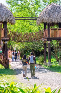 Pereira, Risaralda, Kolombiya 'daki Ukumar Parkı' nda yürüyen ziyaretçiler, canlı doğa ve eşsiz mimari ile çevrili..