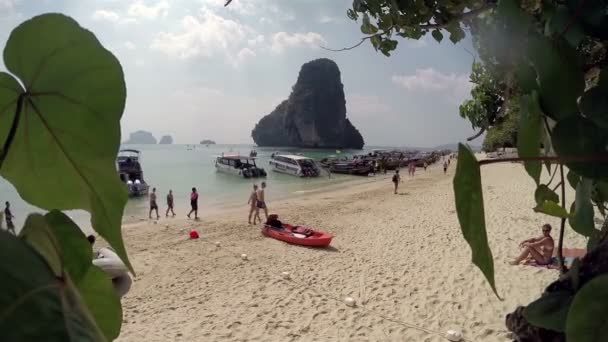 TAILANDIA, PHI PHI - 2015: Vista de la playa a través del follaje del árbol — Vídeos de Stock