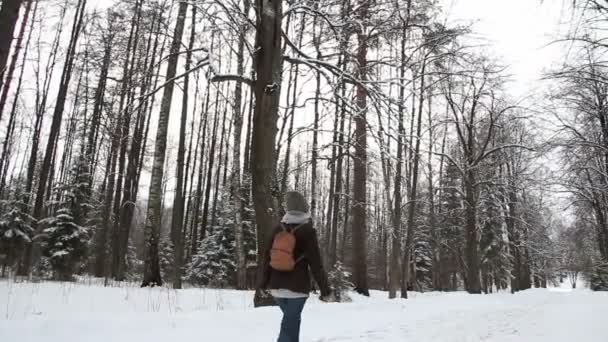 Menina caminhando na floresta em um dia de inverno — Vídeo de Stock