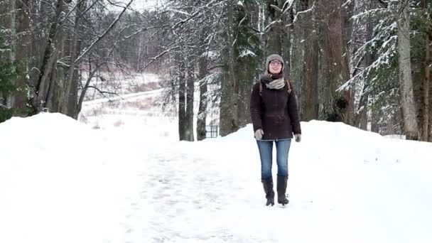 Mädchen geht an einem Wintertag im Wald spazieren — Stockvideo