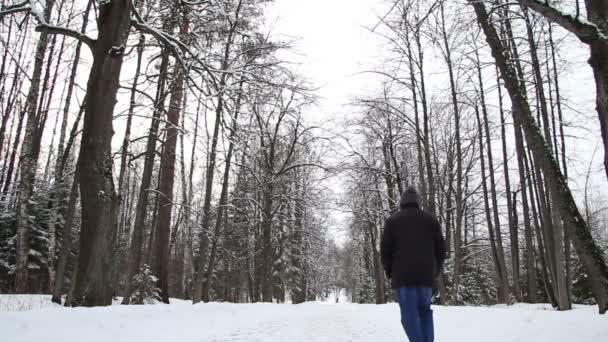 Man Wandelen in het winterbos — Stockvideo