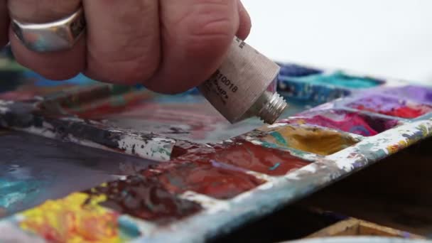O pintor aperta a pintura de um tubo — Vídeo de Stock