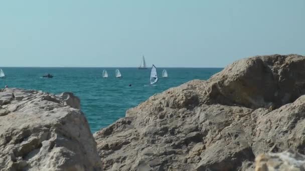 テル ・ アビブの美しい Mediterrian 海の地平線の上のヨット — ストック動画