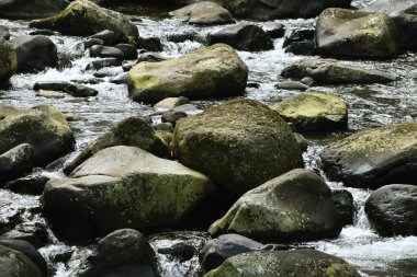 Açık hava ortamında, büyük, yosun kaplı kayalar ve gri taşlar arasında akan ve sıçrayan temiz nehir suyunun detaylı bir yakın çekimi..